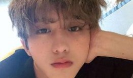 爆料熊出没娱乐圈是谁的,揭秘“爆料熊出没”背后的神秘人物