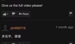 网友爆料大厂事件视频播放,网友热议背后的真相与反思