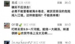 钱江最新爆料消息新闻视频,揭秘新闻视频背后的惊人真相